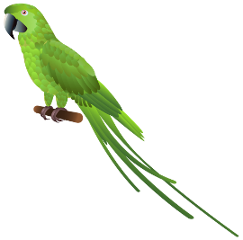 Parrot